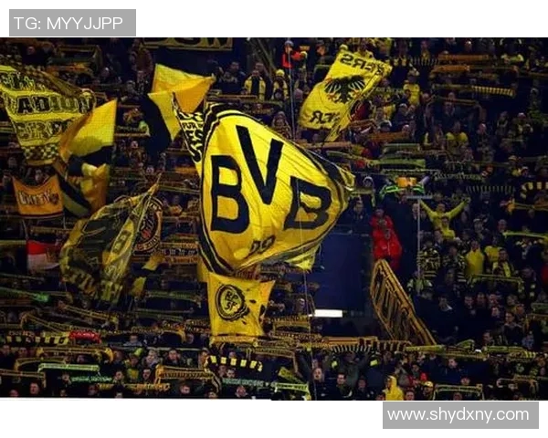 多特蒙德与托特纳姆激战在即球迷期待精彩对决与进球盛宴