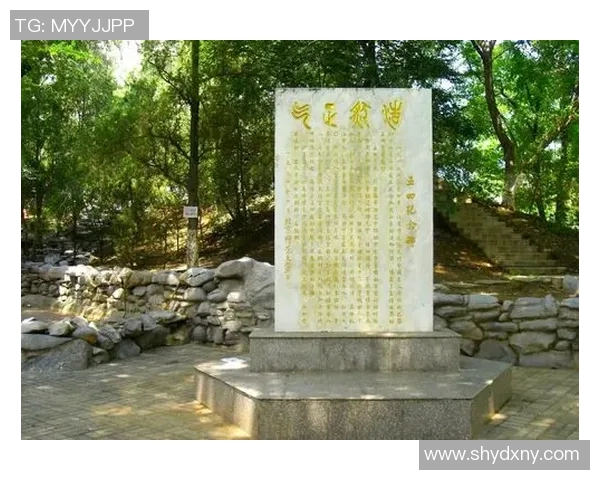 山行山神与东京的对话探寻城市与自然的和谐共生之道 山行山神与东京的对话探寻城市与自然的和谐共生之道