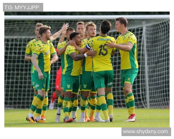 曼彻斯特城主场迎战谢菲联期待精彩对决与激烈竞争 曼彻斯特城主场迎战谢菲联期待精彩对决与激烈竞争