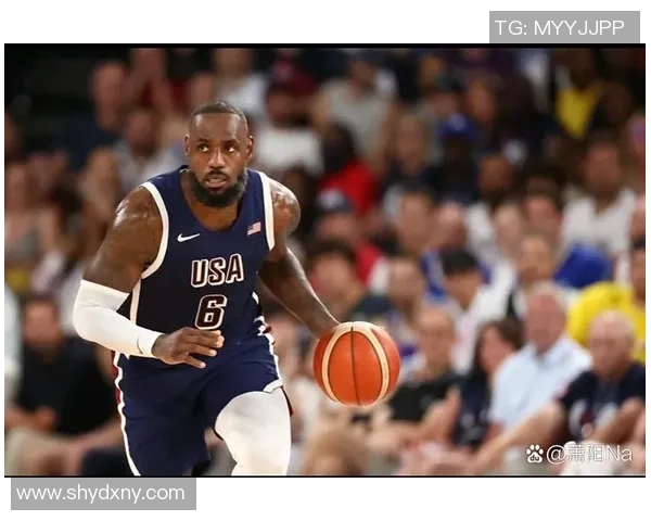 湖人队与火箭队季后赛历史交锋战绩回顾与分析