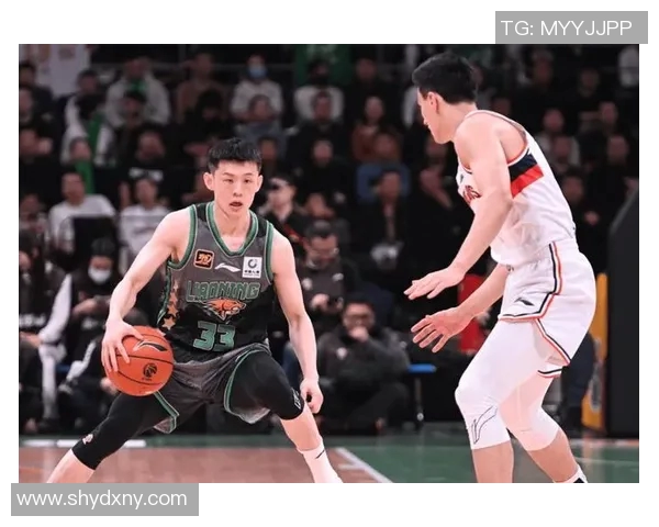 2017至2018赛季辽宁队与同曦队精彩对决回顾与分析