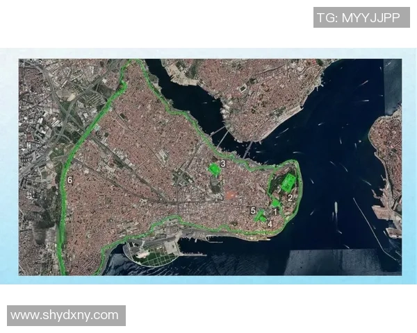 巴黎与伊斯坦布尔精彩对决回放全景分析与赛后点评