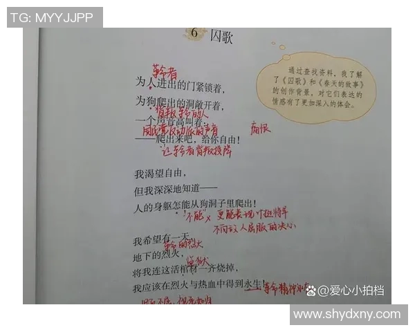 谢什科的传奇旅程:从平凡到卓越的奋斗故事与启示 谢什科的传奇旅程:从平凡到卓越的奋斗故事与启示