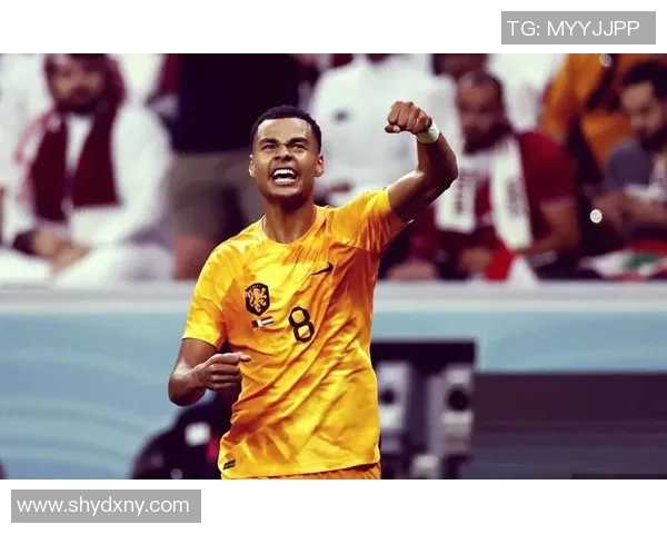 加克波的崛起之路：从青年才俊到国际赛场的闪耀明星