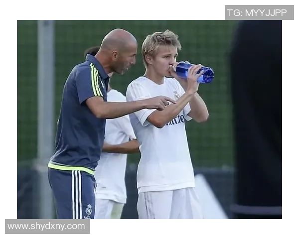 厄德高:从天才少年到足球巨星的成长之路与传奇故事