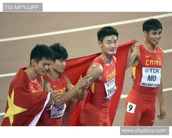 钻石联赛特别报道：北京排球队如何在挑战中崛起与成长