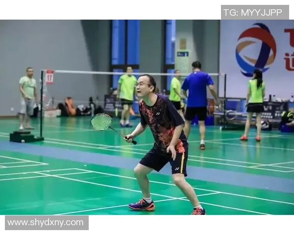 北京羽毛球队个人能力分析与发展策略探讨