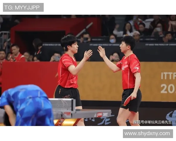 武汉乒乓球队团队协作的成功经验与挑战分析