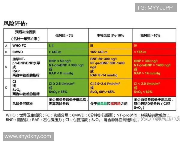 上海网球队挑战赛战术分析与表现评估全面解读